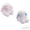 BU515-WBP: 15cm White Bunny